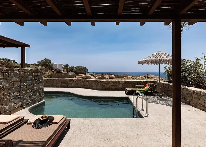 Maximus Mykonos 호텔 5*