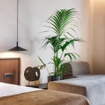 Hotel Maximus Mykonos