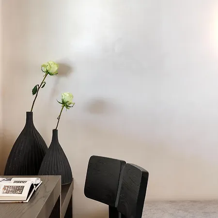 Maximus Mykonos Hotel Platys Gialos (Mykonos)