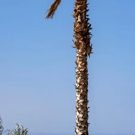 Maximus Mykonos 5*