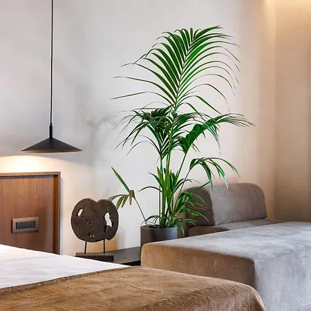Hotell Maximus Mykonos