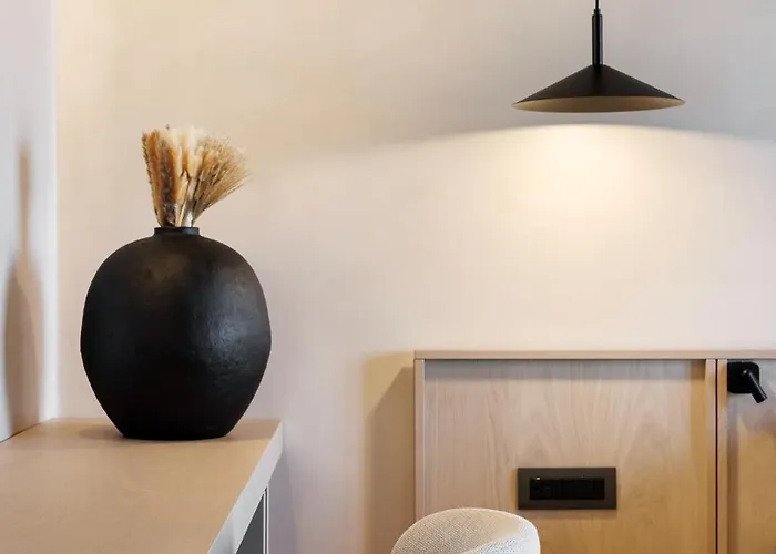 Maximus Mykonos Otel