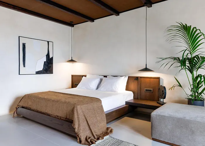 Ξενοδοχείο Maximus Mykonos Πλατύς Γιαλός