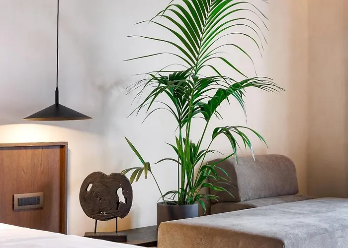 Ξενοδοχείο Maximus Mykonos